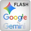 Google Gemini Flash